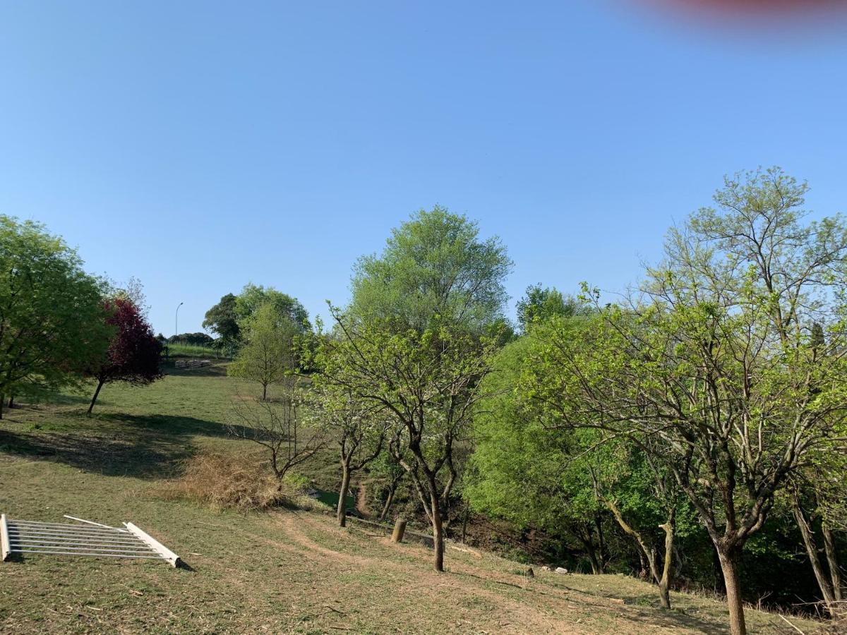 Villa Isidoro Ampio Parco ,Piscina Privata, Arte E Giochi , Fitness Verona Luaran gambar